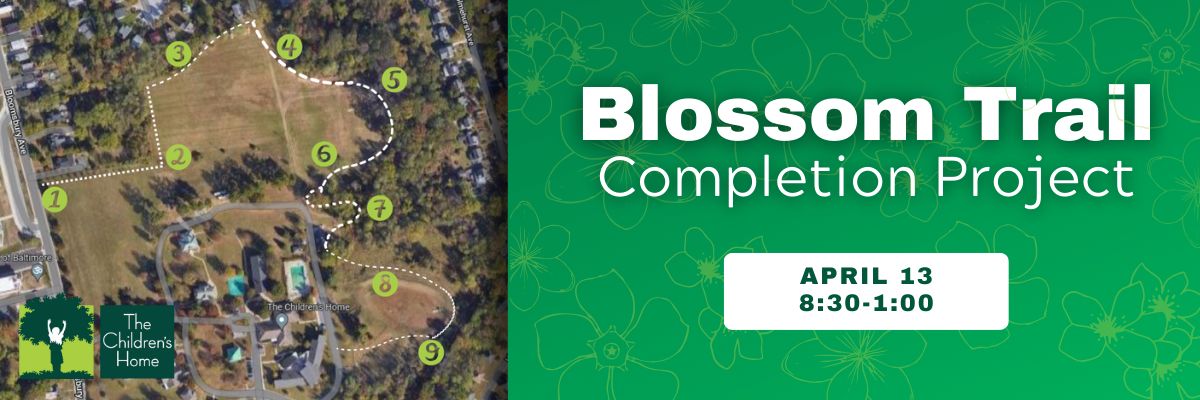 Blossom Trail Completion Project Website Header 5