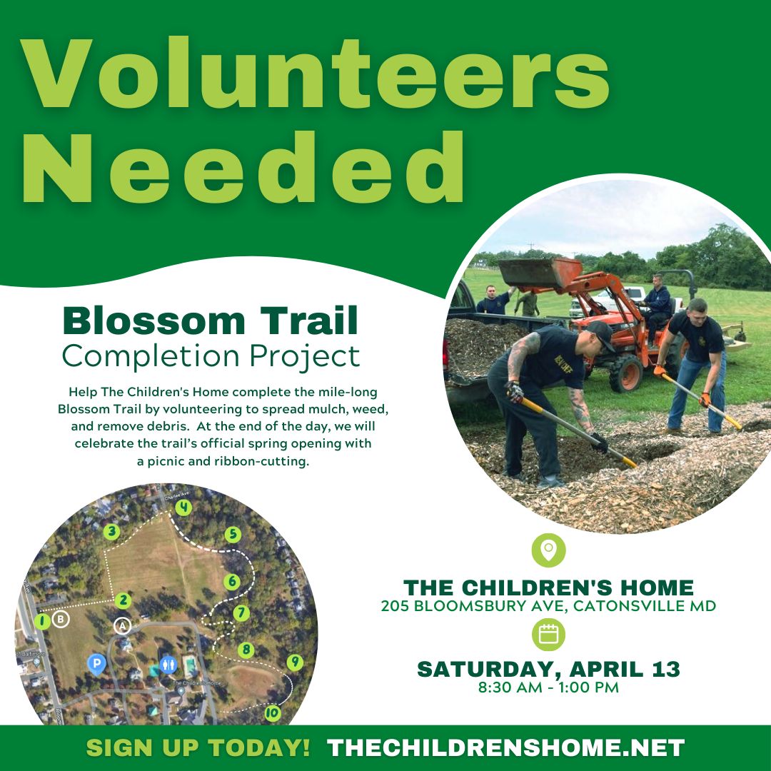 Blossom Trail Volunteer Flyer Instagram Post Square 1