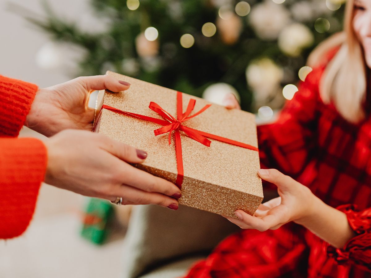 Holiday HGP (2) Holiday HGP 2